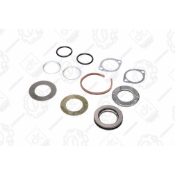 5320-3001009 Р/к шкворня КАМАЗ (7 найменувань) ДК фото від Мотор-Агро Харків Україна