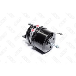 RD 97.76.839L Камера гальмівна з поршневим енергоакумулятором тип 12/24 лінійка PREMIUM (RIDER) фото від Мотор-Агро Харків Украї