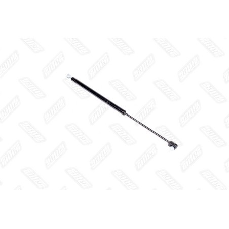 RD 57.43.39 Амортизатор капоту DAF 95, 95 XF 09.87-09.02 (RIDER) фото від Мотор-Агро Харків Україна