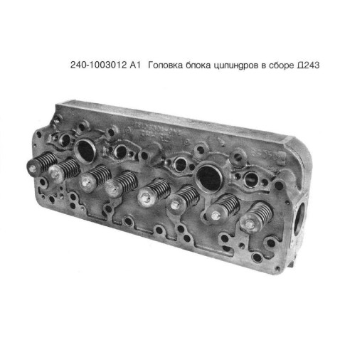 240-1003012 А1 Головка блоку МТЗ дв. Д-240, 243 у зборі з клапанами фото від Мотор-Агро Харків Україна