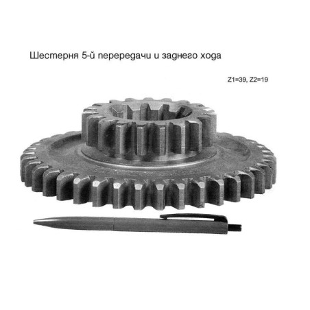 50-1701214 Шестірня МТЗ 3-ої пер.пром.вала від Мотор-Агро Харків Україна