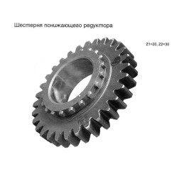 70-1721031 Шестірня МТЗ ведуч.редуктора від Мотор-Агро Харків Україна
