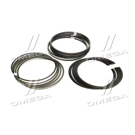 230403CGA0 Кільця поршневі (STD) фото від Мотор-Агро Харків Україна