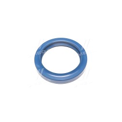 RD.864176 Сальник хвостовика КАМАЗ 176 прав. обертання з пруж. NBR (RIDER) фото від Мотор-Агро Харків Україна