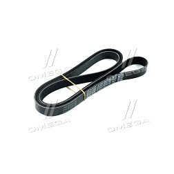 6PK1700 Ремінь поліклін. (вир-во DAYCO) фото від Мотор-Агро Харків Україна