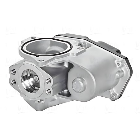 700424 Клапан EGR рециркуляції газів VOLKSWAGEN Golf (вир-во Valeo) фото від Мотор-Агро Харків Україна