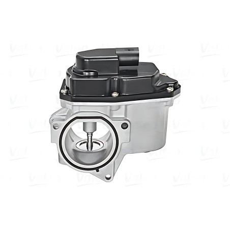 700424 Клапан EGR рециркуляції газів VOLKSWAGEN Golf (вир-во Valeo) фото від Мотор-Агро Харків Україна