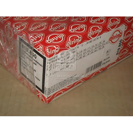 819.850 Болт головки блоку (компл.) VAG 5CYL 1B/2B/AAR/HP/HY/JL/JS/JT/KK/KP/KU/KV/KX/KZ/MB/NF (вир-во Elring фото від Мотор-Агро