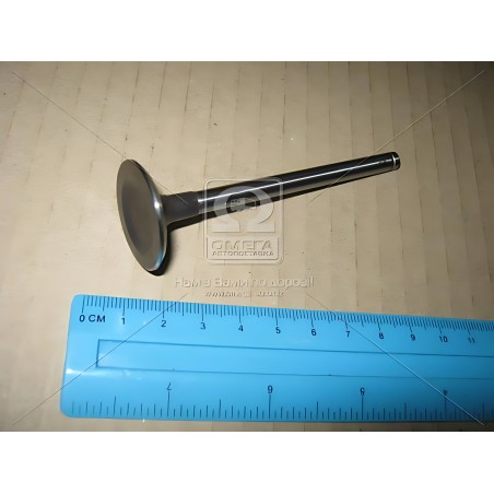 V91209 Клапан впускний (вир-во AE) фото від Мотор-Агро Харків Україна