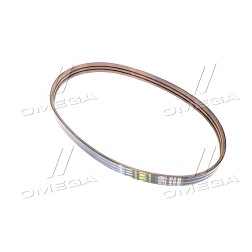 1424218 Ремінь багатострумковий CLAAS Lexion (Gates Agri) фото від Мотор-Агро Харків Україна