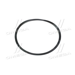 R172052 Кільце металеве кришки диференціала 0,13 мм. JD8430/8530 (R172052) (JD) фото від Мотор-Агро Харків Україна