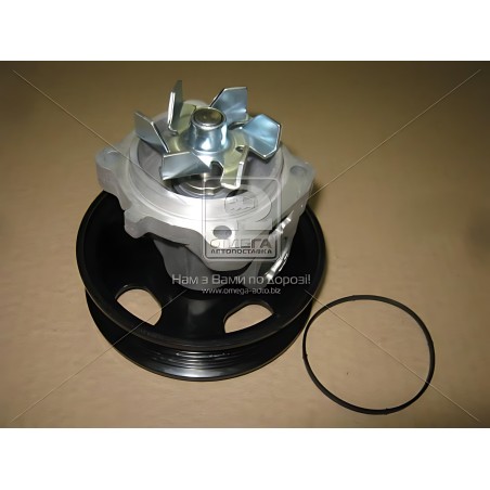 ➤ Водяний насос (Вир-во Magneti Marelli кор.код. 81862) 350981862000