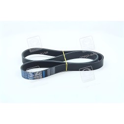 6PK1050 Ремінь поліклін. 6PK1050 (вир-во DONGIL) фото від Мотор-Агро Харків Україна