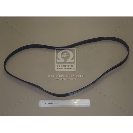 ➤ Ремінь поліклін. 6PK1300 (вир-во DONGIL) 6PK1300