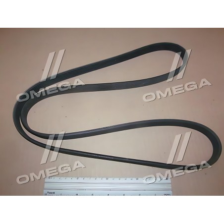 ➤ Полікліновий ремінь BMW 1 (E81) 116 d (Вир-во Contitech) 6PK1605