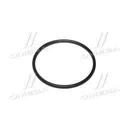 R521040 Кільце ущільнювальне шестерні паливного насоса JD8430/8530 (R521040) (JD) фото від Мотор-Агро Харків Україна
