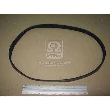 5PK925 Ремінь поліклін. 5PK925 (вир-во DONGIL) фото від Мотор-Агро Харків Україна