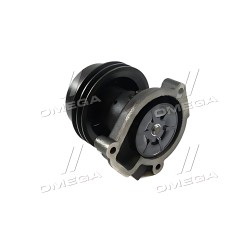 ➤ Насос водяний Д 245.10 Professional (RIDER) 245-1307010-А1-01 PR