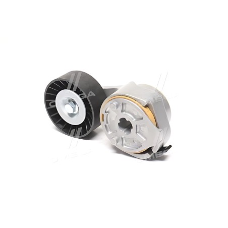 RD 86.21.37 Натягувач ременя IVECO EUROCARGO (RIDER) фото від Мотор-Агро Харків Україна