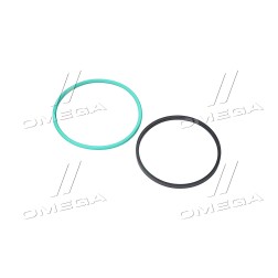RE300797 Кільце ущільнювальне диска варіатора JD8430/8530 (JD) фото від Мотор-Агро Харків Україна