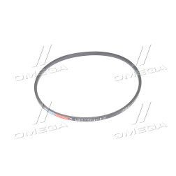 B 1350 Ремінь В 1350 (ВБ-1350) (вир-во Rubena) фото від Мотор-Агро Харків Україна