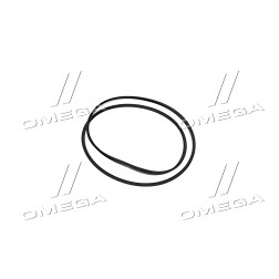R220470 Манжета диференціалу заднього мосту трактора JD8430/8530 (R220470) (John Deere) фото від Мотор-Агро Харків Україна