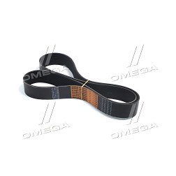 ➤ Ремінь багаторучної Massey Ferguson (TIMKEN BELTS) AG13770R
