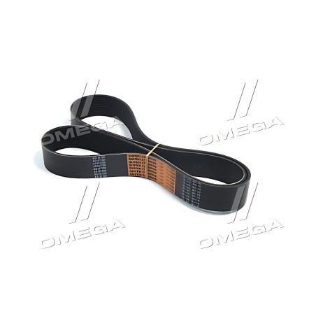 ➤ Ремінь багаторучної Massey Ferguson (TIMKEN BELTS) AG13770R