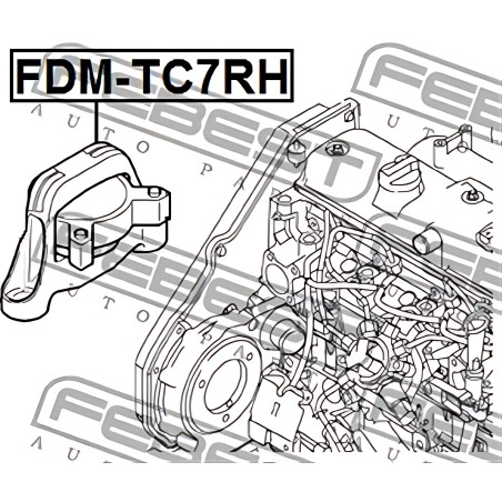 FDM-TC7RH ПОДУШКА ДВИГУНА ПРАВА (ГІДРАВЛИЧНА) FORD TRANSIT CONNECT TC7 2002- (вир-во FEBEST) фото від Мотор-Агро Харків Україна