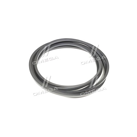 ➤ Ремінь клиновий CLAAS (628579.0) (OPTIBELT) 1000862