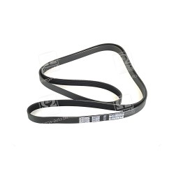 6PK2525 Ремінь поліклін. (вир-во DAYCO) фото від Мотор-Агро Харків Україна