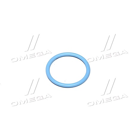 ➤ Кільце під форсунку (R503578) (JD) R503578