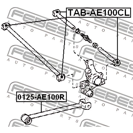 TAB-AE100CL Сайлентблок важеля TOYOTA COROLLA, CAMRY 92-02 задн. міст низ (Вир-во FEBEST) фото від Мотор-Агро Харків Україна