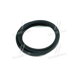 ➤ Ремінь C 2550 (СВ-2550) PHG C98 (SKF) C 2550