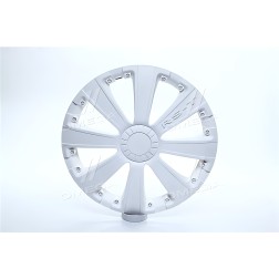 DK-R13RW Ковпак колісний R13 RST білий ДК фото від Мотор-Агро Харків Україна