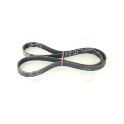 5PK1250 Ремінь полікліновий (Вир-во ContiTech) фото від Мотор-Агро Харків Україна