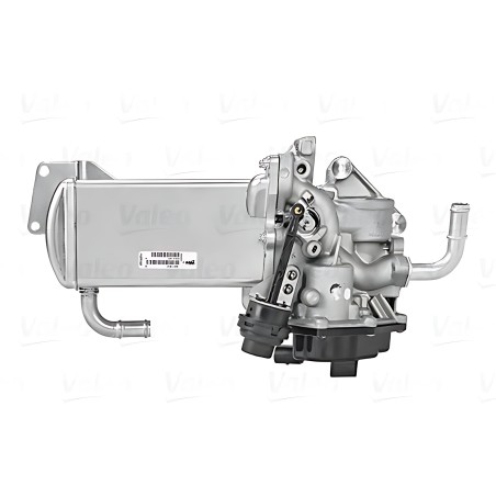 700435 Клапан EGR рециркуляції газів VOLKSWAGEN Transporter (вир-во Valeo) фото від Мотор-Агро Харків Україна