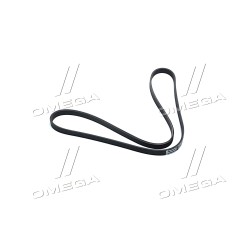 5PK1355 Ремінь полікліновий (Вир-во ContiTech) фото від Мотор-Агро Харків Україна