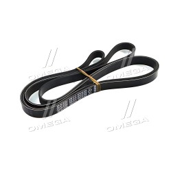 6PK2576S Ремінь полікліновий (Вир-во DAYCO) фото від Мотор-Агро Харків Україна