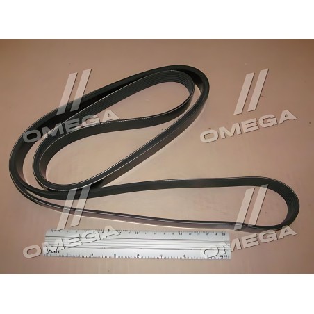 6PK2576S Ремінь полікліновий (Вир-во DAYCO) фото від Мотор-Агро Харків Україна