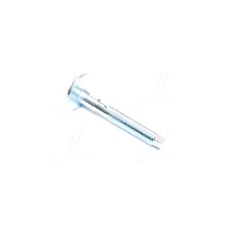 2329-003 Болт з ексцентриком AUDI, SEAT, SKODA, VW 03- верх. важеля, внутрішній (Вир-во FEBEST) фото від Мотор-Агро Харків Украї