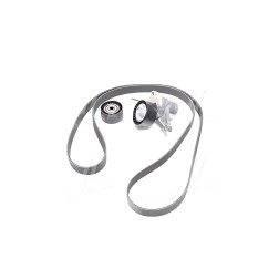 K017PK1973 Ремкомплекти приводу допоміжного обладнання автомобілів Micro-V Kit (Вир-во Gates) фото від Мотор-Агро Харків Україна