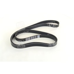 6PK1915 Ремінь полікліновий (Вир-во DAYCO) фото від Мотор-Агро Харків Україна