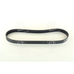 6PK831ELAST Ремінь полікліновий (Вир-во ContiTech) фото від Мотор-Агро Харків Україна