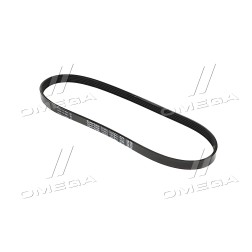 5PK845 Ремінь поліклин. (вир-во DAYCO) фото від Мотор-Агро Харків Україна