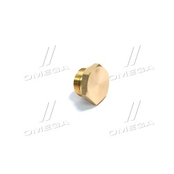 ➤ Заглушка різьбова з кільцем ущільнювачем M22x1,5 (RIDER) RD 99.01.93