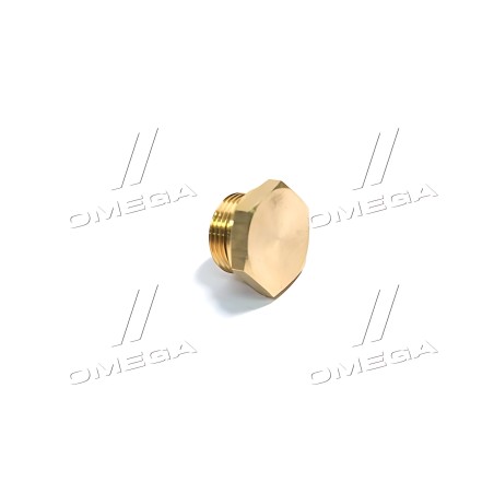 ➤ Заглушка різьбова з кільцем ущільнювачем M22x1,5 (RIDER) RD 99.01.93
