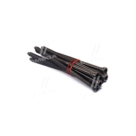 351.900 Комплект болтів головки циліндра VAG 2.0TDI CKFB/CKFC/CRLB/CRBC/CRMB/CRUA/CNHC 08- (вир-во Elring) фото від Мотор-Агро Х