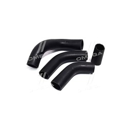 DK-1318 Патрубок радіатора ГАЗ 2410 (компл. 4 шт.) ДК фото від Мотор-Агро Харків Україна