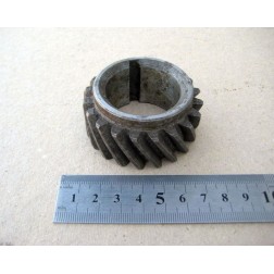 240-1005030 Шестерня вала колінчастого МТЗ дв. Д-240, 243, 245 Z 20 фото від Мотор-Агро Харків Україна